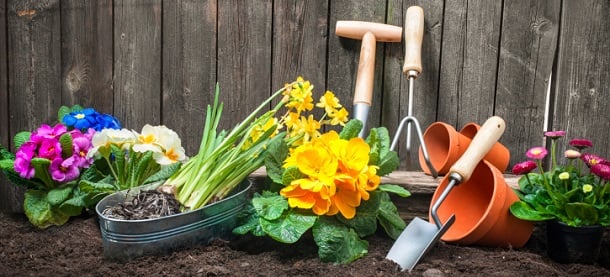 L’Eco PTZ se concrétise pour les propriétaires