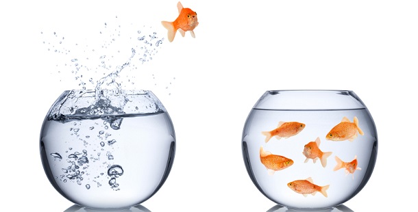 Renégociez votre emprunt et changez d’assurance emprunteur pour économiser sur le total