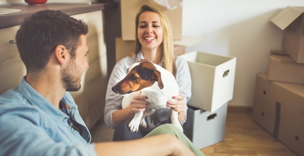 Quels sont les taux immobiliers pour vos crédits en ce début de printemps ? 