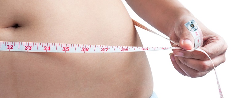 L’immunisation contre la flagelline est un remède efficace contre l’obésité et autres maladies chroniques 