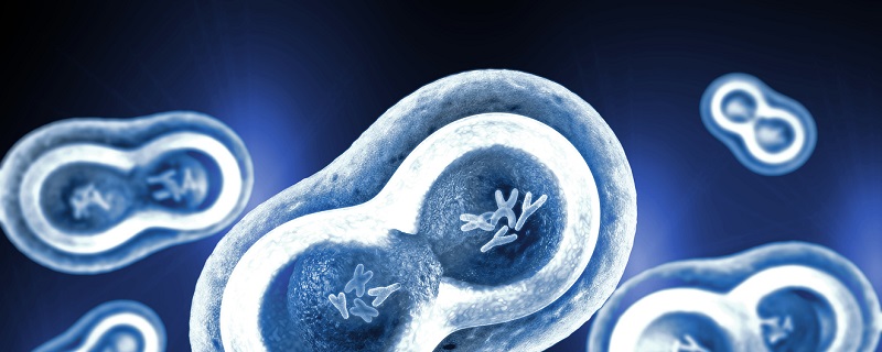 Les scientifiques ont découvert pourquoi les femmes sont les plus touchées par les maladies auto-immunes