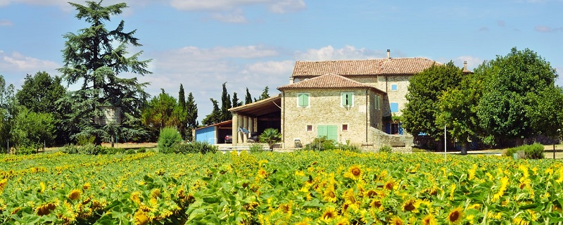 Les maisons individuelles se vendent un peu mieux