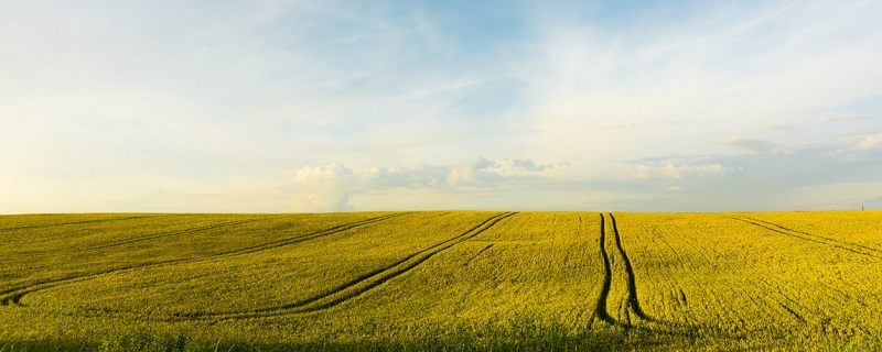 Le sénateur Bourquin change de stratégie pour accélérer la validation de son projet de loi sur l’assurance emprunteur