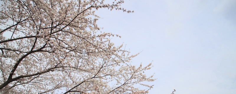 Plus de 45 millions de personnes détiennent une dette étudiante aux États-Unis