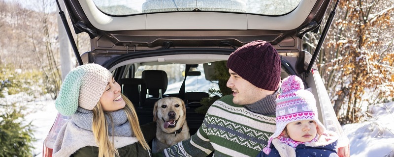 À cause de la pandémie, les Millenials boudent les transports en commun et préfèrent se déplacer en voiture personnelle