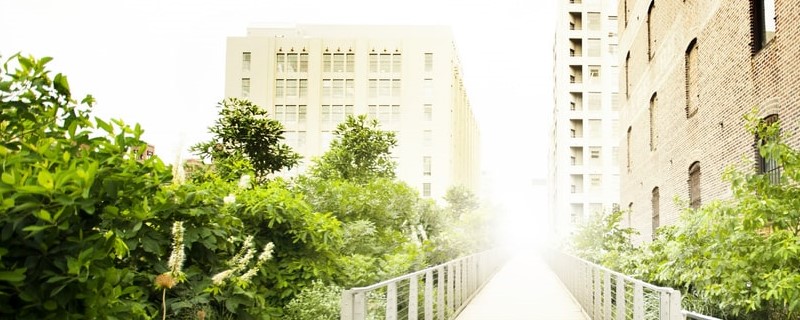 Mobilisation des citoyens de Chelsea pour préserver un espace vert