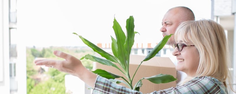 Immobilier en France : l’accession à la propriété réservée aux plus aisés ?