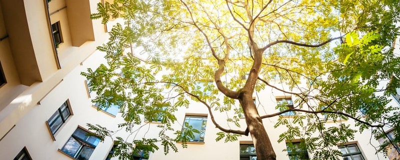 Les Français ont donné leurs avis sur ce que devrait être la ville de demain