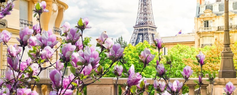 Paris a plus de biens immobiliers disponibles à la vente comparée aux villes en province