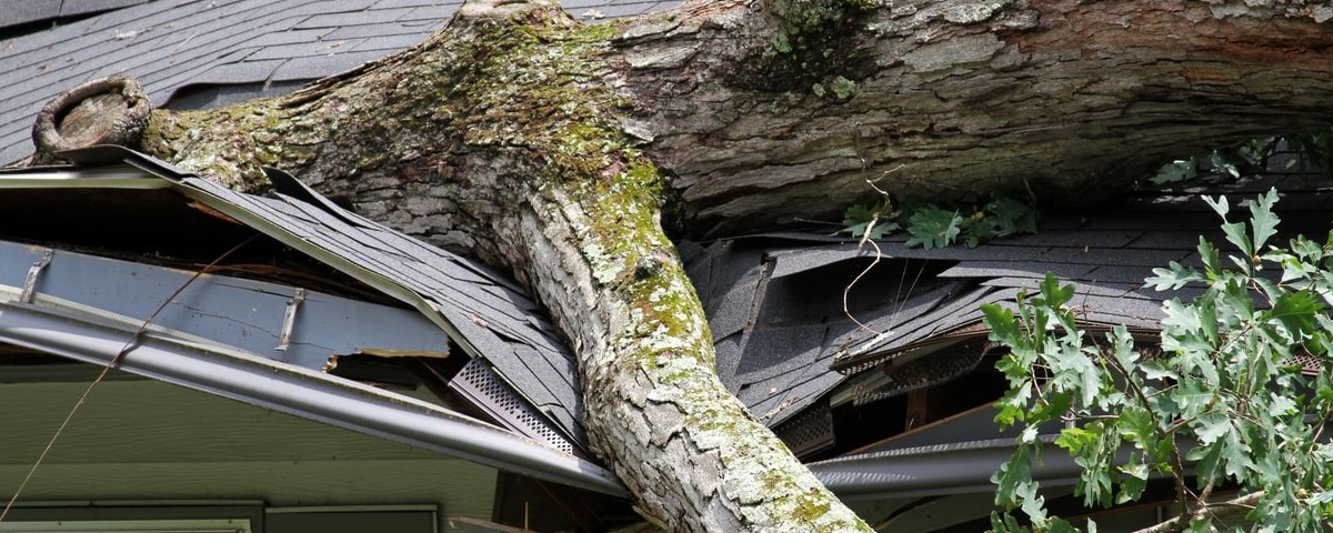 Assurance habitation : les clés pour vous faire rembourser en cas de catastrophes naturelles