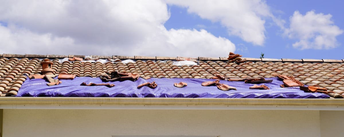 Tempête Ciaran : les démarches à suivre pour être indemnisé si votre assureur ne répond pas
