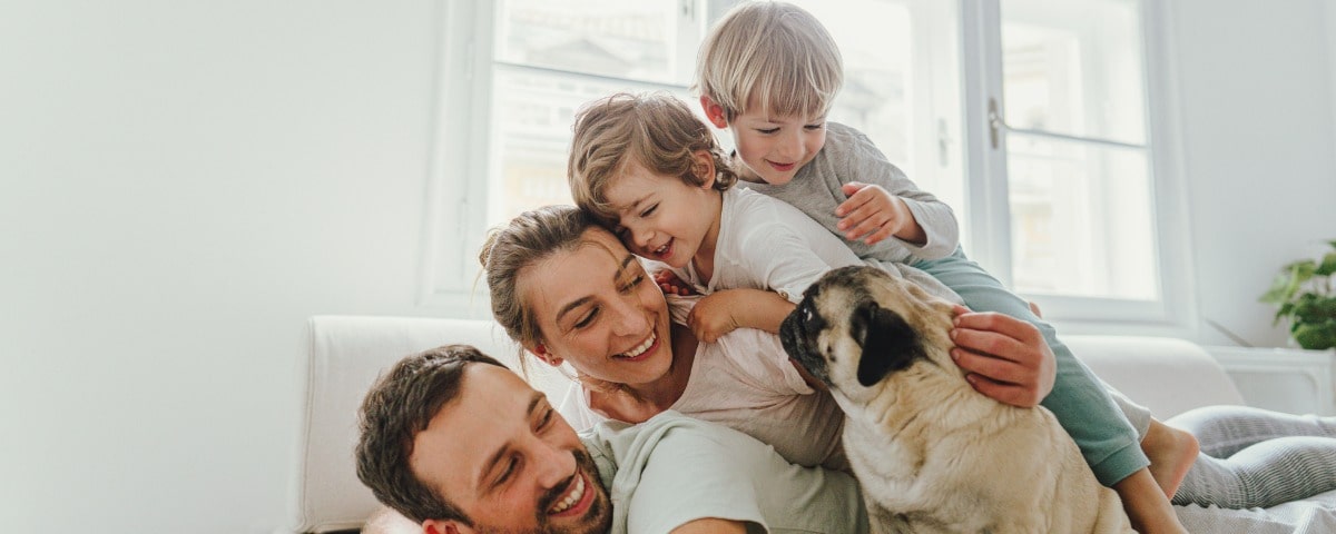 La France compte plus de 1,7 million d’animaux domestiques en 2023