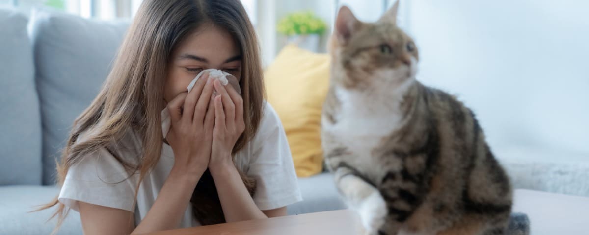 L’immunothérapie allergénique : la solution contre toutes les allergies ?