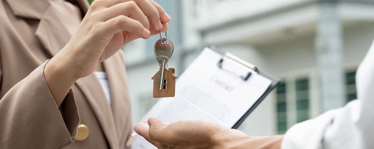  location immobilière