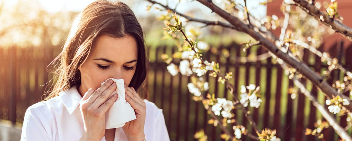 Le tiers de la population française est allergique au pollen