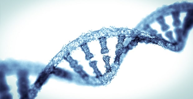 La génétique peut expliquer l'apparition de MICI