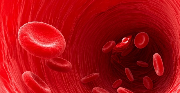 Assurance de prêt phlébite les causes possibles