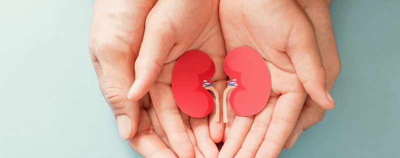 Cancer du rein et assurance prêt immobilier