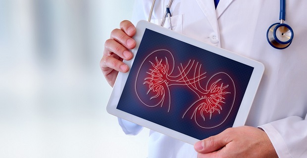 Assurance de pret maladie de berger