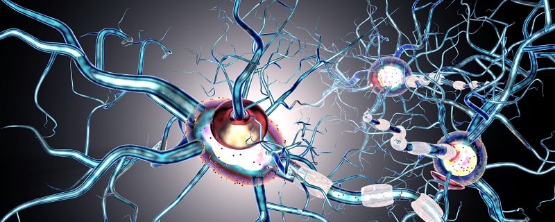 Principales maladies auto immunes sur l'assurance emprunteur