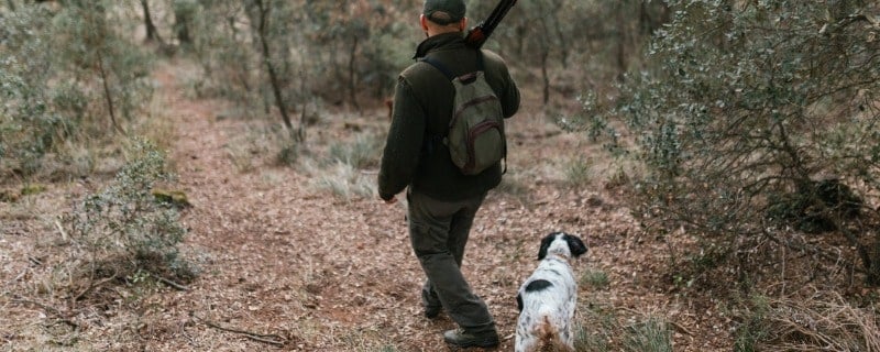 assurance pour un chien de chasse