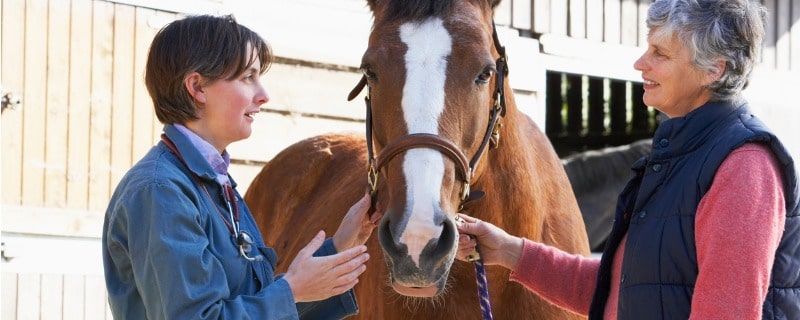 changement de propriétaire de cheval 