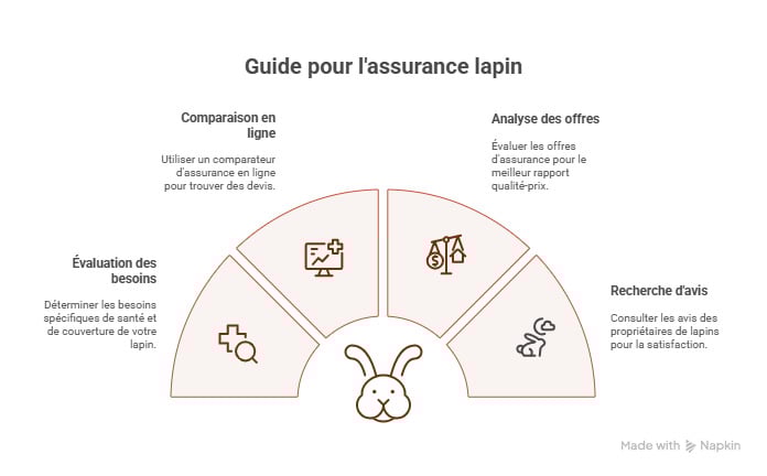 infographie assurance lapin