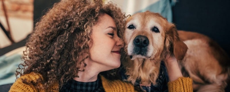 Mutuelle chien sans carence