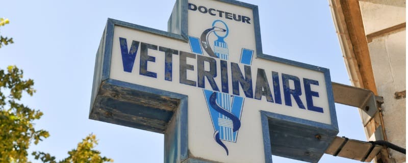 Prix d'un vétérinaire de garde