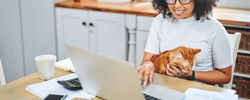 tarifs mutuelle animaux