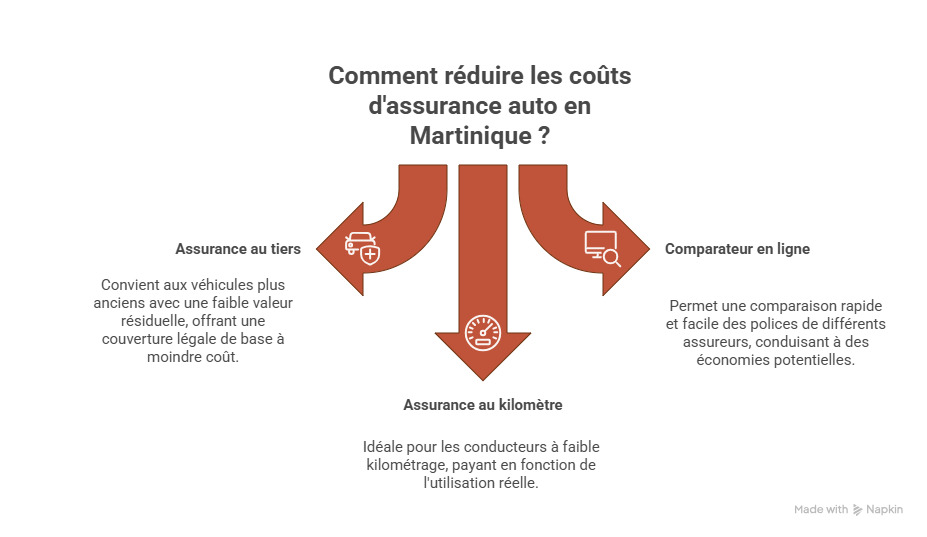 infographie assurance auto martinique