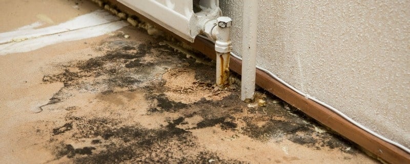 usure normale en location