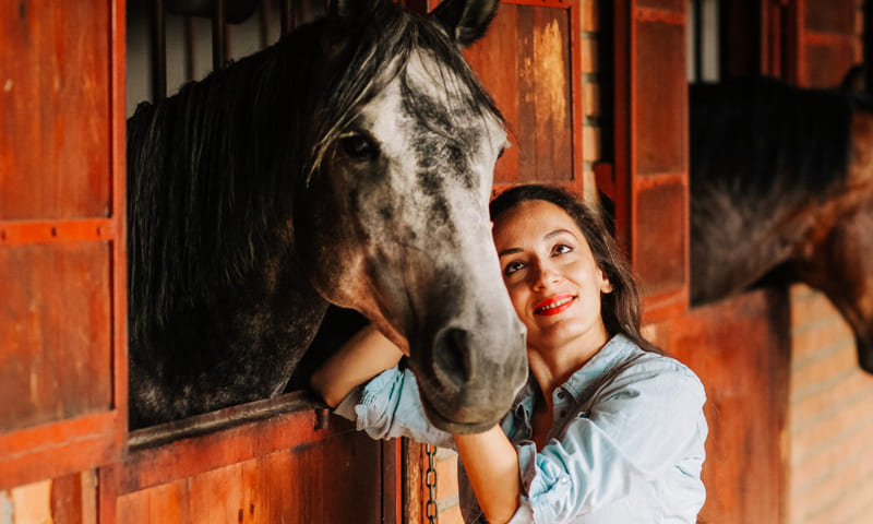 Frais vétérinaires pour un cheval