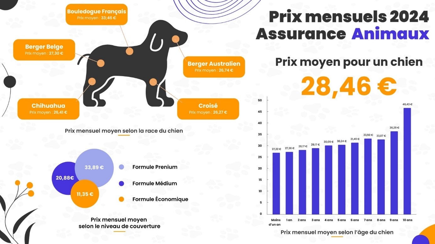 Prix mensuels 2024 pour l'assurance des chiens.